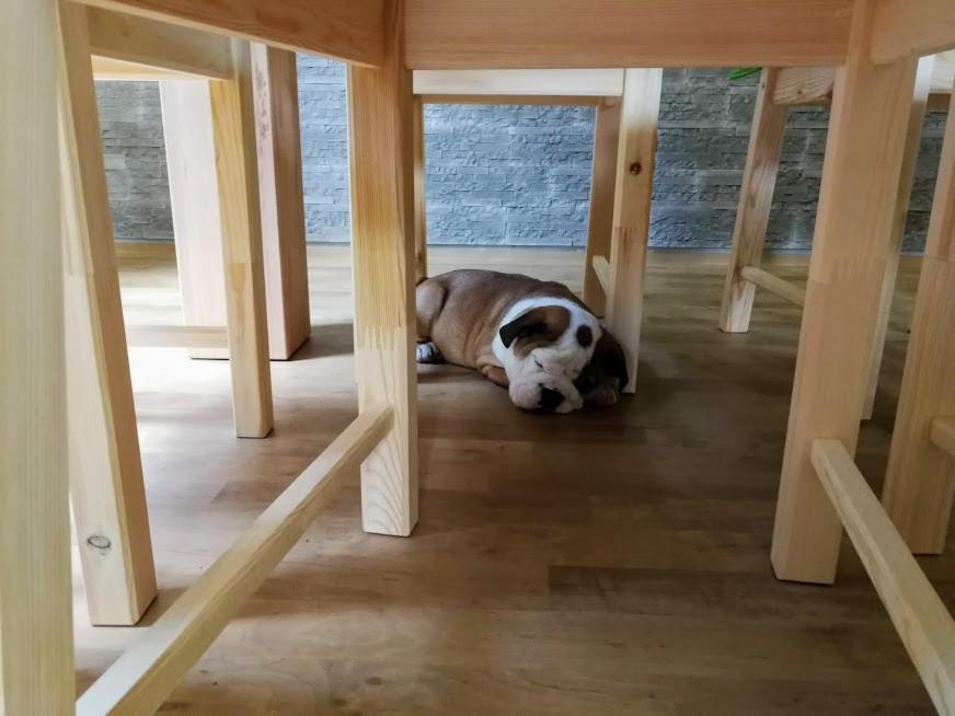 Penzion U Kluju Vestin Ngoại thất bức ảnh